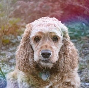 Meet your Posher, Stuart